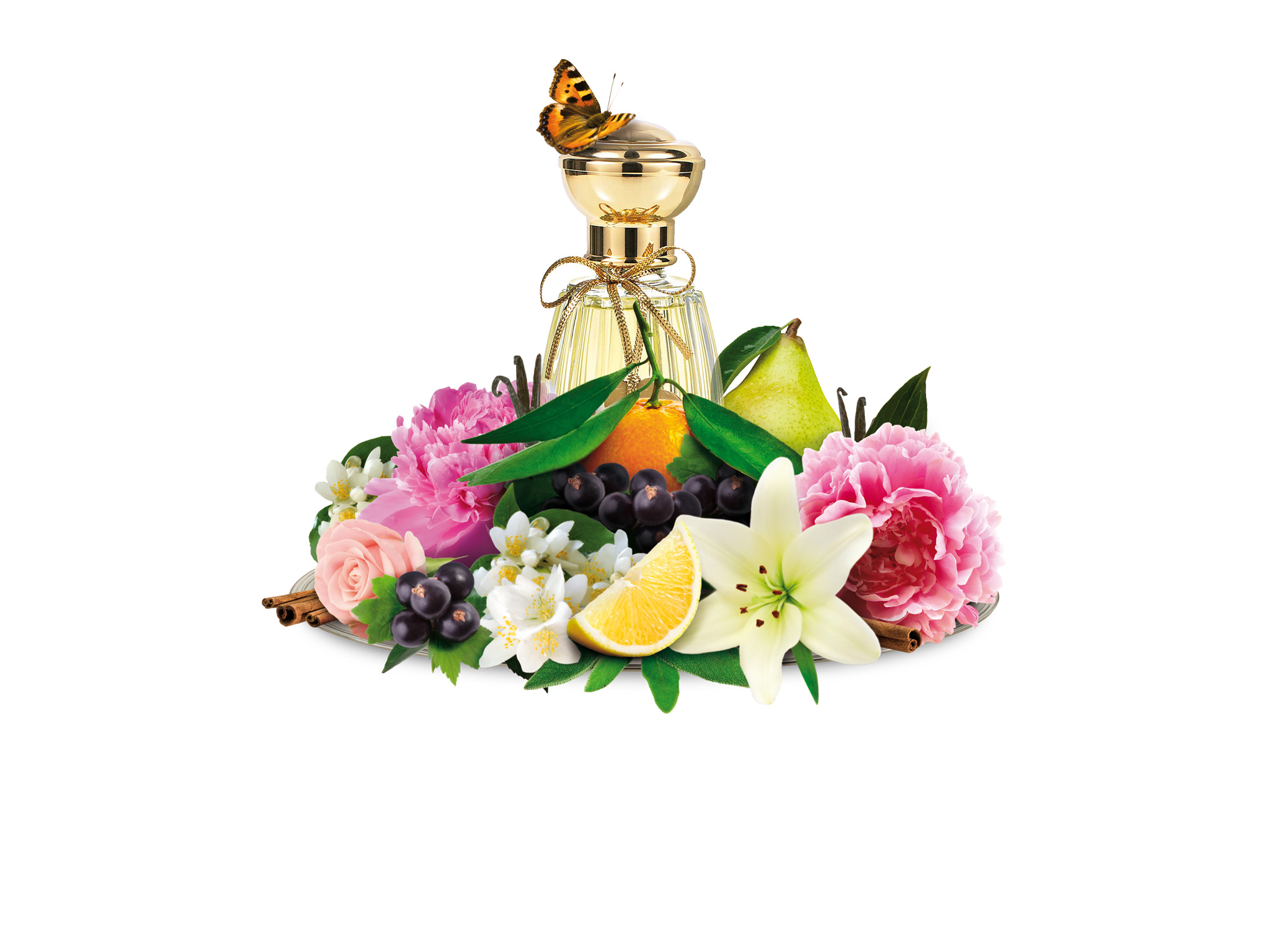 Vormgeving brochure Lianne Tio Parfums