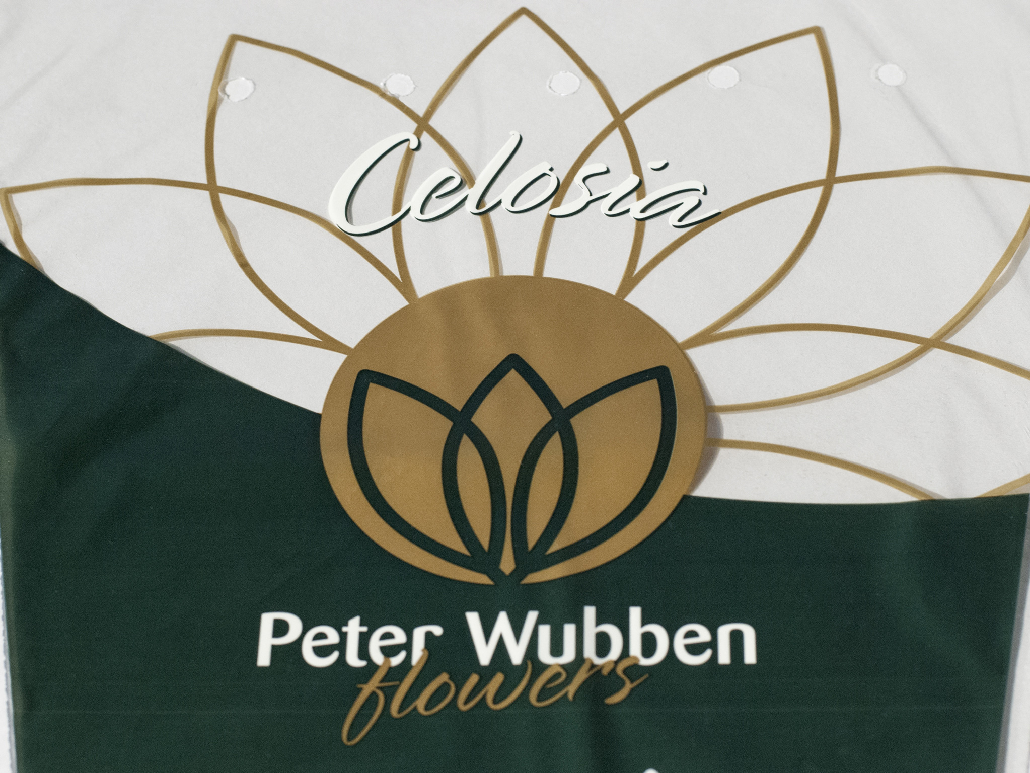 Ontwerp voor een celosiahoes Peter Wubben