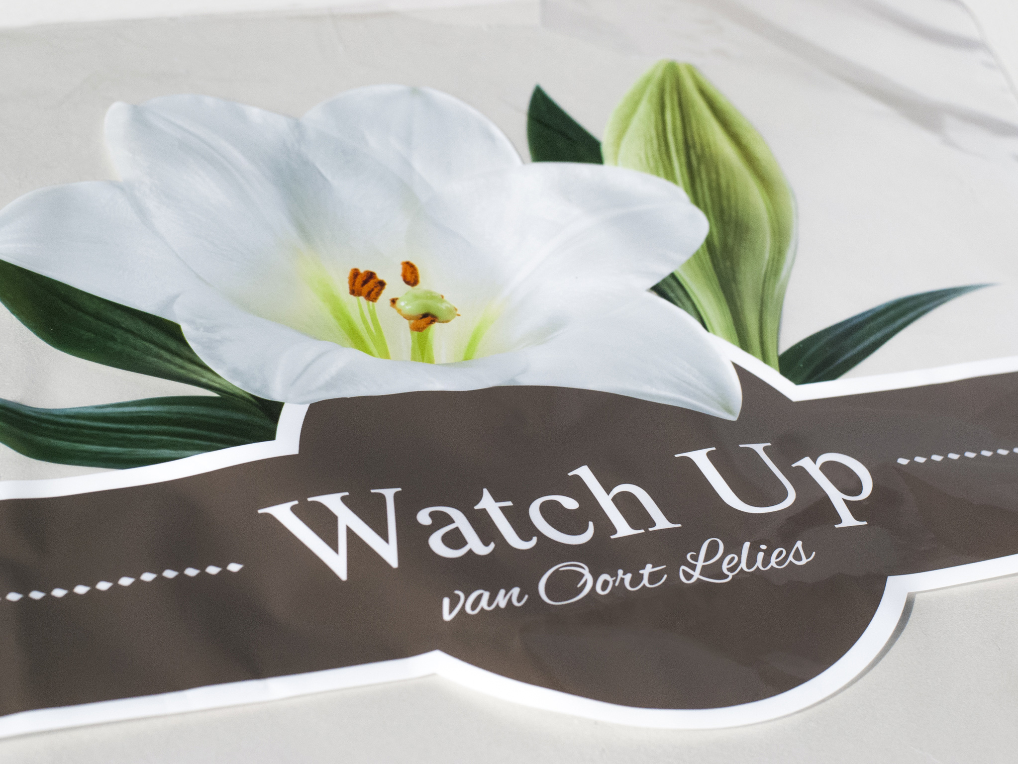 Ontwerp voor een lelie hoes